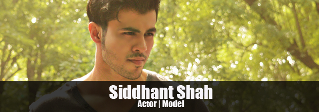 Siddhant Shah Model