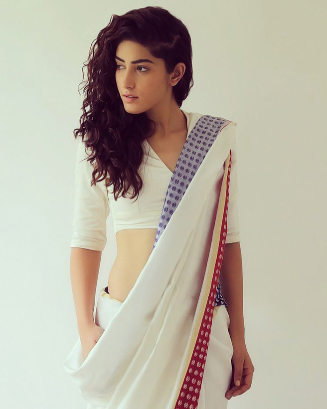 Indian model Jasmeet Devgan wearing a beautiful ethnic saree